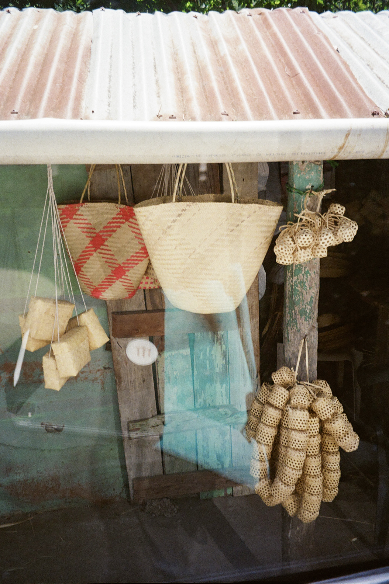 Photo by Jimena Guzman.